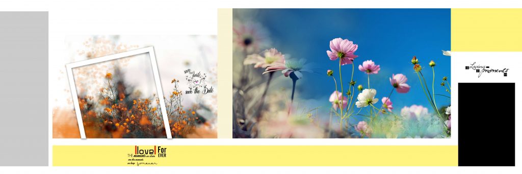 Dmax Vol-67–INDIAN WEDDING ALBUM PSD TEMPLATE