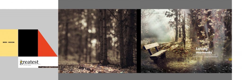 Dmax Vol-67–INDIAN WEDDING ALBUM PSD TEMPLATE