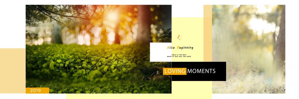 Dmax Vol-67–INDIAN WEDDING ALBUM PSD TEMPLATE