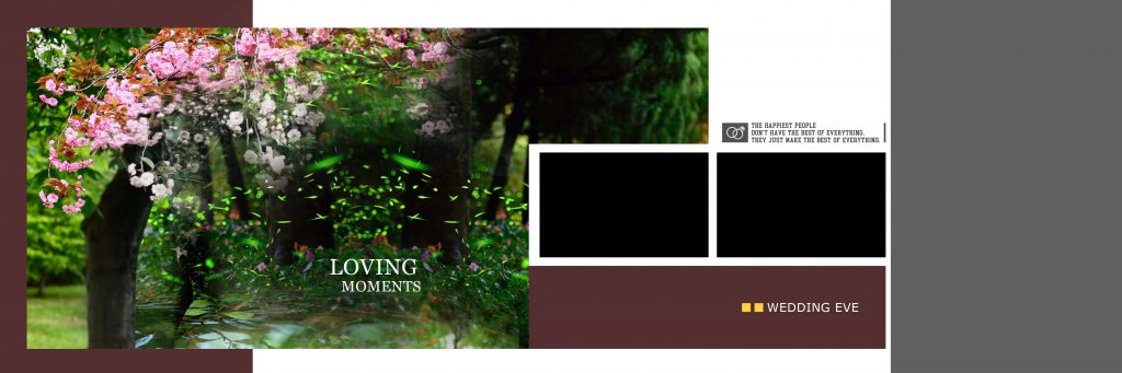 Dmax Vol-67–INDIAN WEDDING ALBUM PSD TEMPLATE