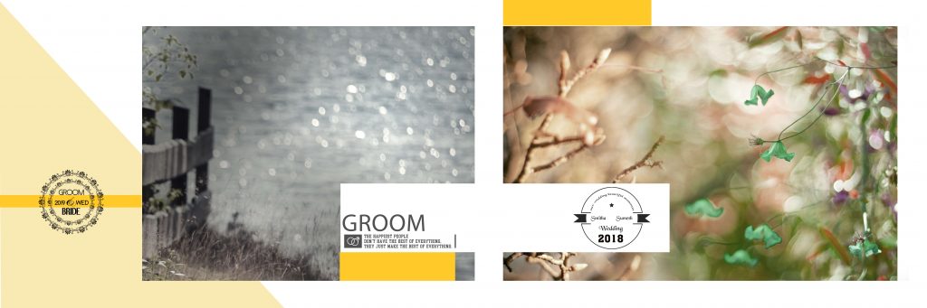Dmax Vol-67–INDIAN WEDDING ALBUM PSD TEMPLATE