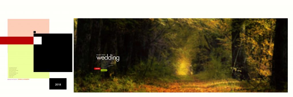 Dmax Vol-68–INDIAN WEDDING ALBUM PSD TEMPLATE