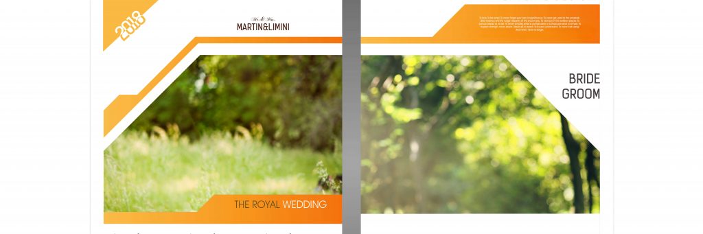 Dmax Vol-68–INDIAN WEDDING ALBUM PSD TEMPLATE