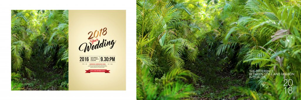 Dmax Vol-68–INDIAN WEDDING ALBUM PSD TEMPLATE