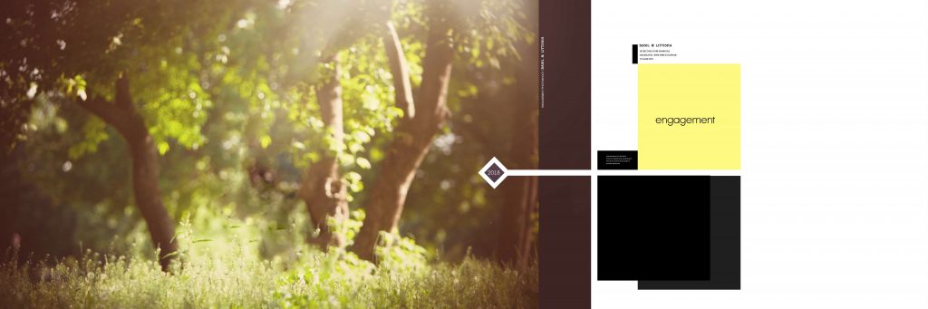 Dmax Vol-68–INDIAN WEDDING ALBUM PSD TEMPLATE