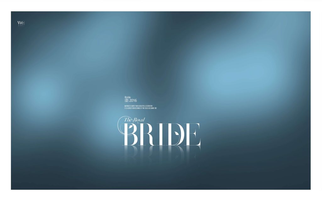 Dmax Vol-51&ndash;INDIAN WEDDING ALBUM PSD TEMPLATE