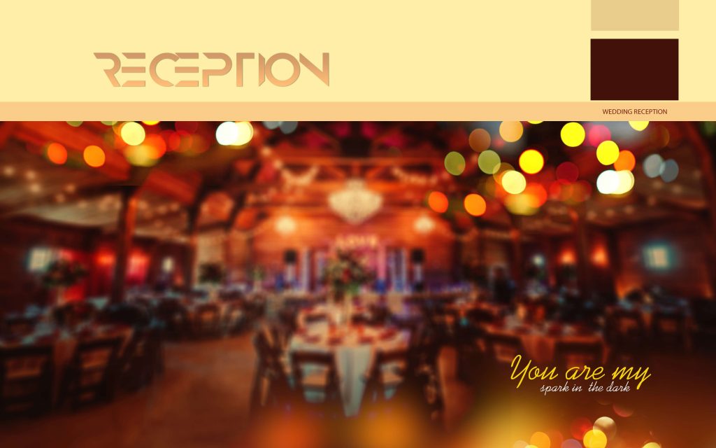 Dmax Vol-51&ndash;INDIAN WEDDING ALBUM PSD TEMPLATE