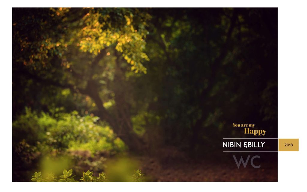 Dmax Vol-51&ndash;INDIAN WEDDING ALBUM PSD TEMPLATE