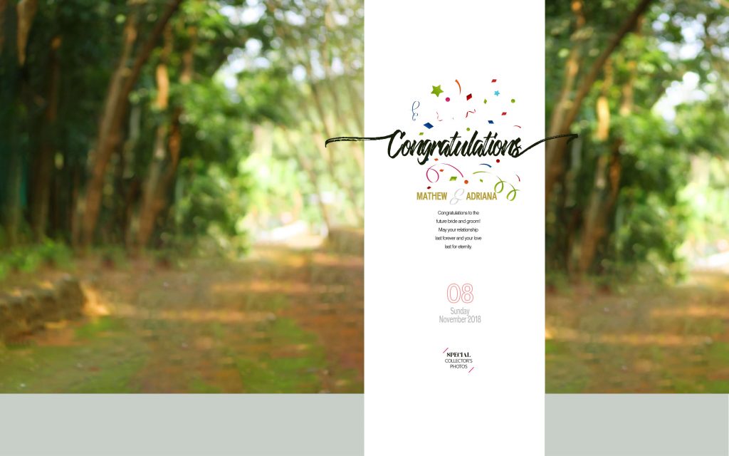 Dmax Vol-51&ndash;INDIAN WEDDING ALBUM PSD TEMPLATE