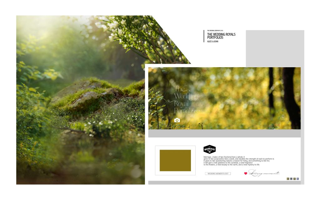Dmax Vol-51&ndash;INDIAN WEDDING ALBUM PSD TEMPLATE
