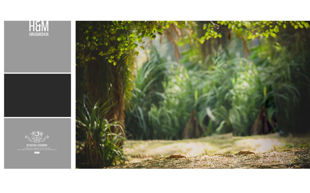 Dmax Vol-52&ndash;INDIAN WEDDING ALBUM PSD TEMPLATE