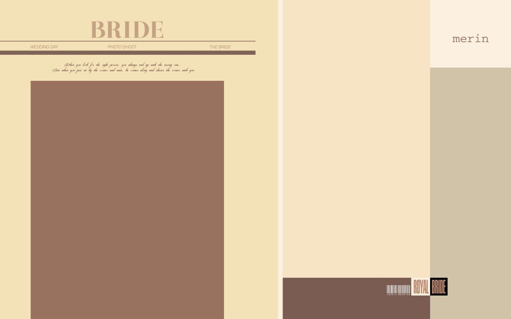 Dmax Vol-52&ndash;INDIAN WEDDING ALBUM PSD TEMPLATE