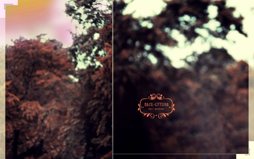 Dmax Vol-53&ndash;INDIAN WEDDING ALBUM PSD TEMPLATE