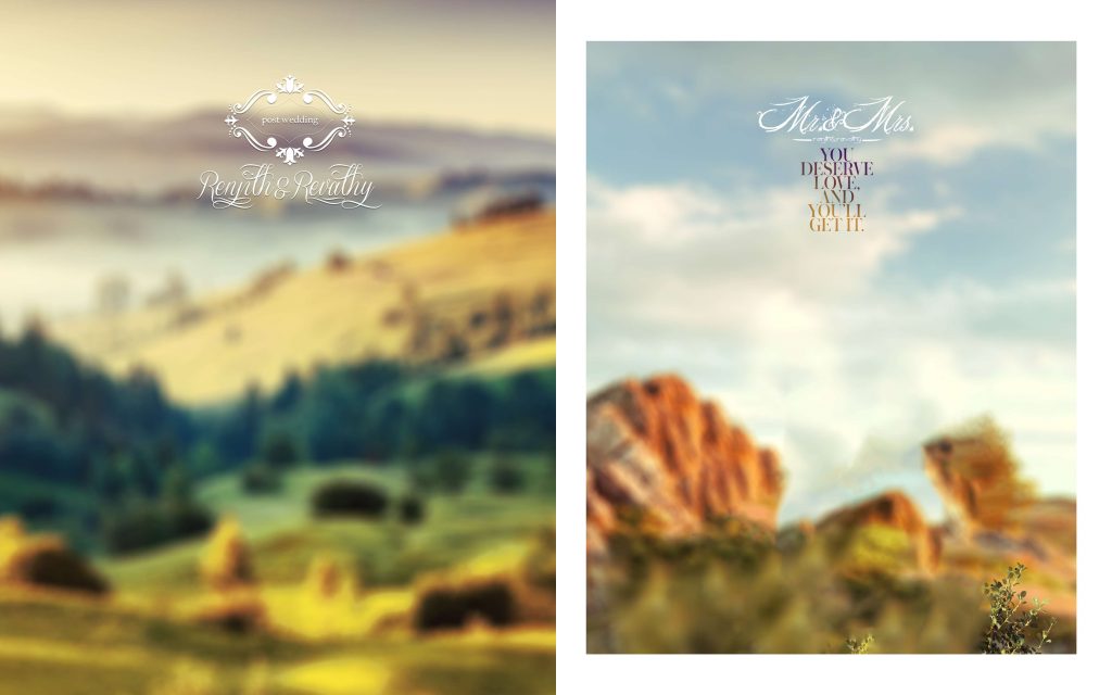 Dmax Vol-53&ndash;INDIAN WEDDING ALBUM PSD TEMPLATE