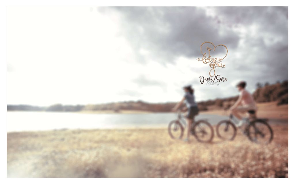 Dmax Vol-53&ndash;INDIAN WEDDING ALBUM PSD TEMPLATE