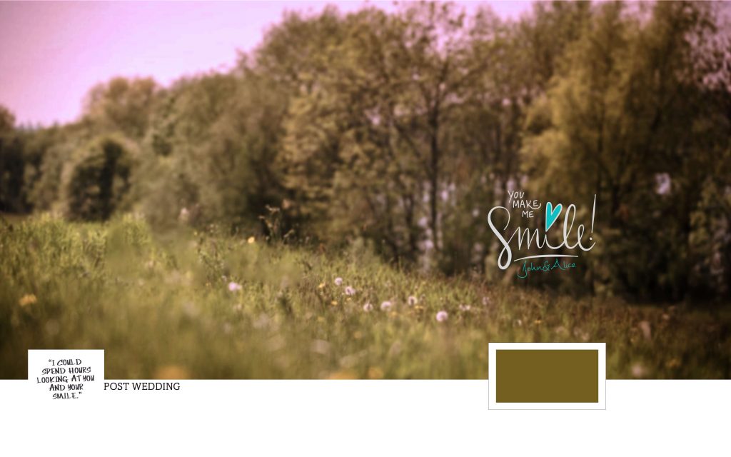 Dmax Vol-53&ndash;INDIAN WEDDING ALBUM PSD TEMPLATE