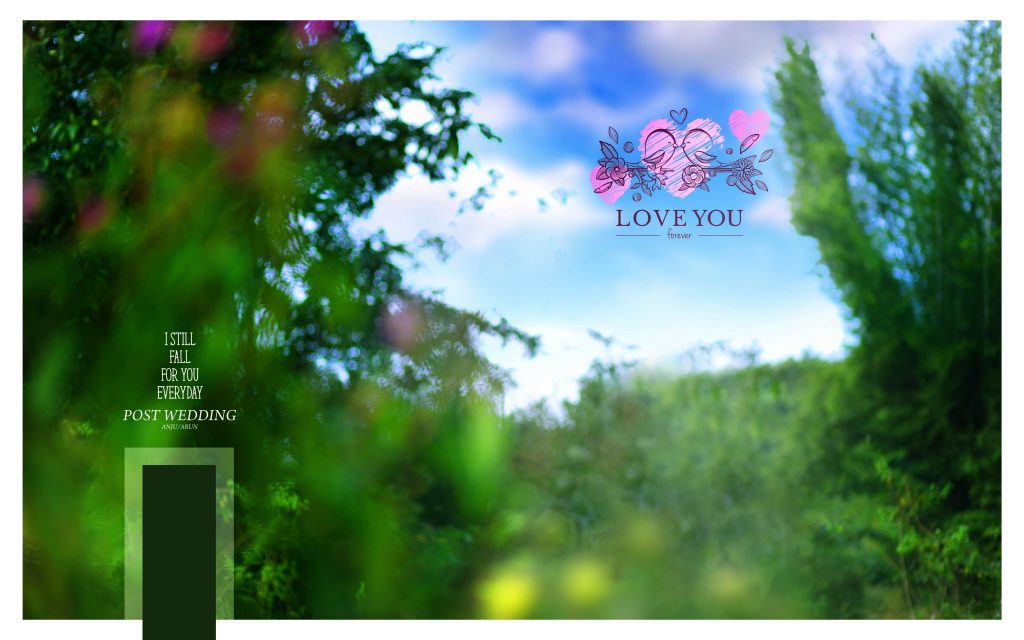 Dmax Vol-53&ndash;INDIAN WEDDING ALBUM PSD TEMPLATE