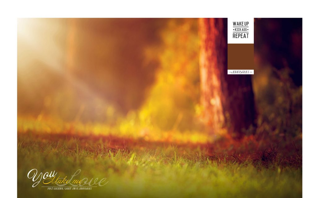 Dmax Vol-53&ndash;INDIAN WEDDING ALBUM PSD TEMPLATE