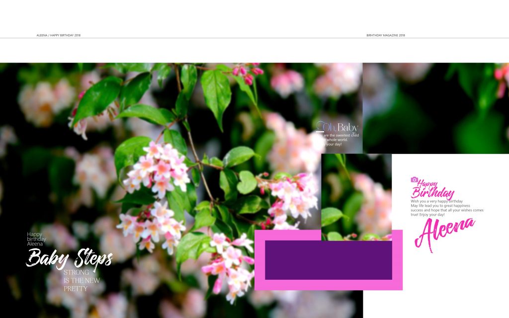 Dmax Vol-59&ndash;INDIAN WEDDING ALBUM PSD TEMPLATE
