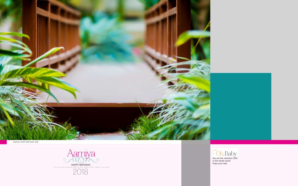 Dmax Vol-59&ndash;INDIAN WEDDING ALBUM PSD TEMPLATE