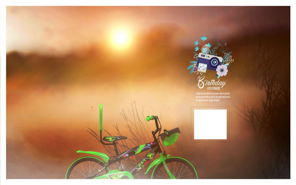 Dmax Vol-59&ndash;INDIAN WEDDING ALBUM PSD TEMPLATE