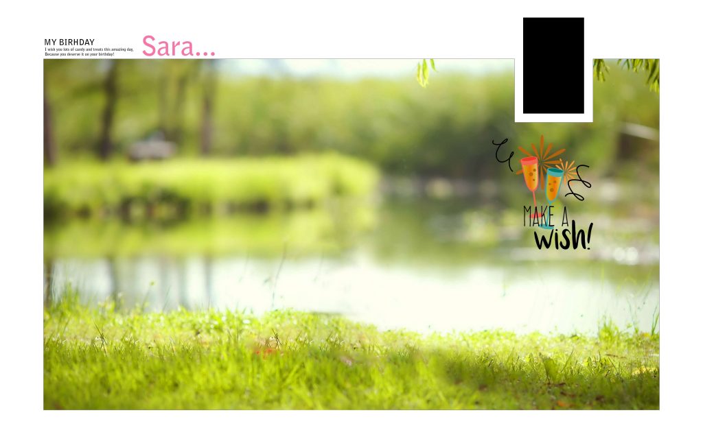 Dmax Vol-59&ndash;INDIAN WEDDING ALBUM PSD TEMPLATE