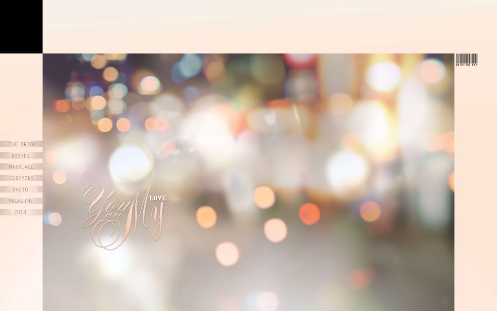 Dmax Vol-60&ndash;INDIAN WEDDING ALBUM PSD TEMPLATE