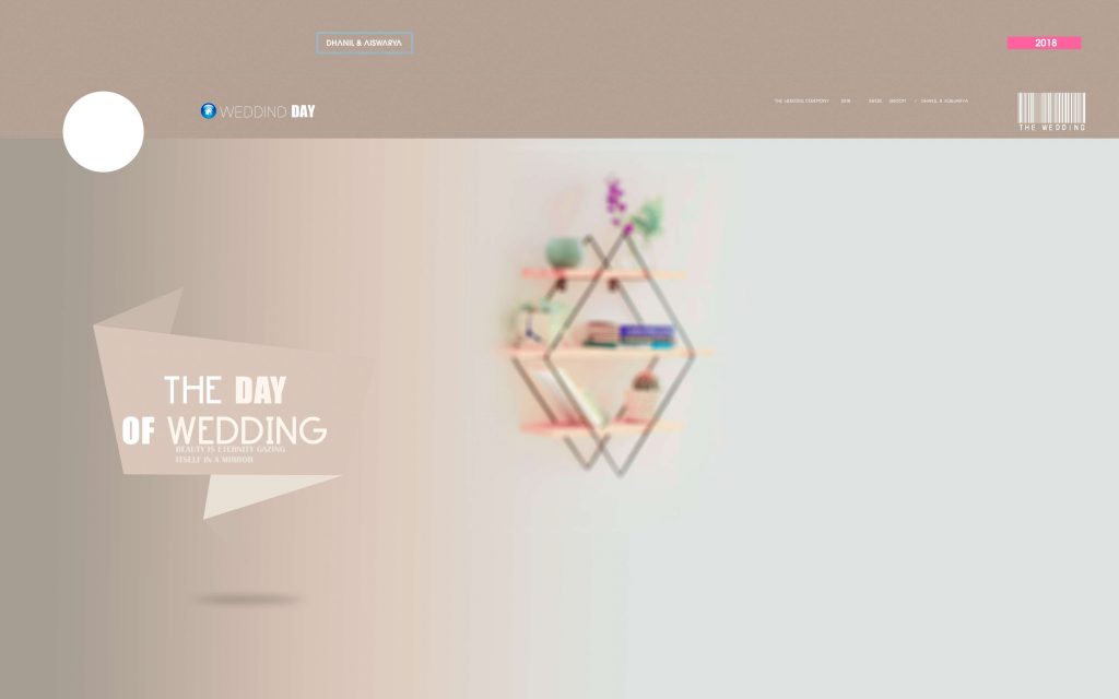 Dmax Vol-61&ndash;INDIAN WEDDING ALBUM PSD TEMPLATE