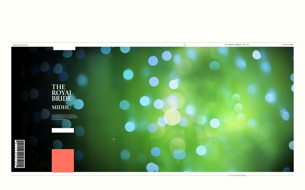 Dmax Vol-61&ndash;INDIAN WEDDING ALBUM PSD TEMPLATE