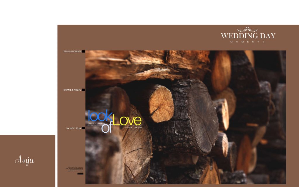 Dmax Vol-61&ndash;INDIAN WEDDING ALBUM PSD TEMPLATE