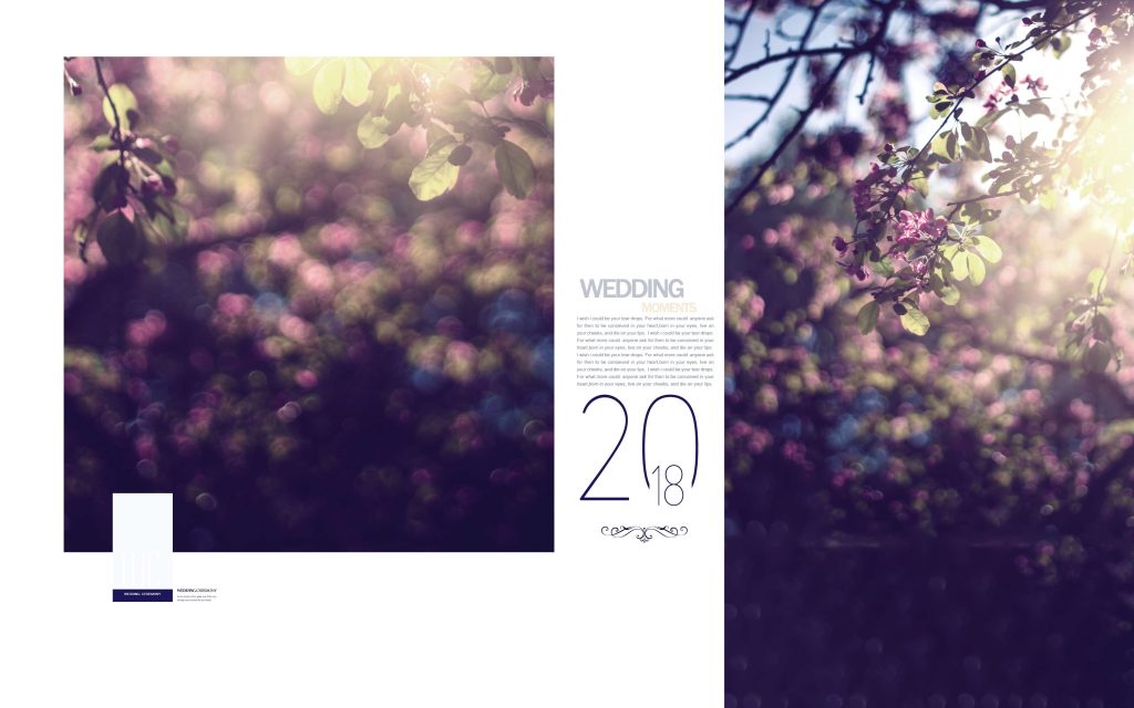 Dmax Vol-61&ndash;INDIAN WEDDING ALBUM PSD TEMPLATE