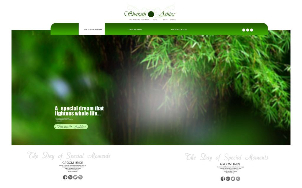 Dmax Vol-62&ndash;INDIAN WEDDING ALBUM PSD TEMPLATE