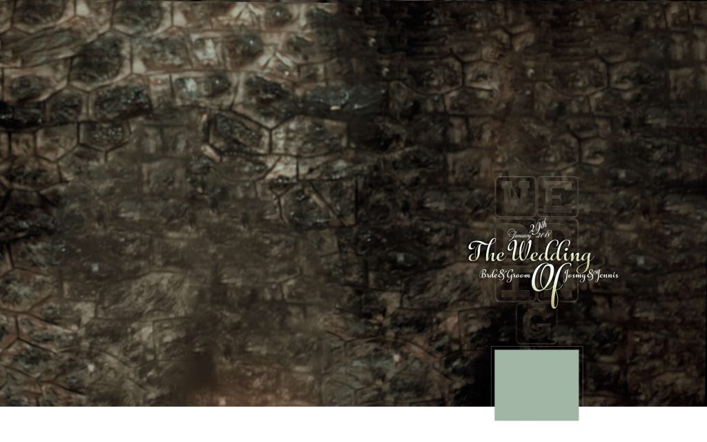Dmax Vol-62&ndash;INDIAN WEDDING ALBUM PSD TEMPLATE