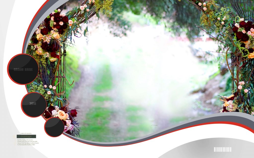 Dmax Vol-62&ndash;INDIAN WEDDING ALBUM PSD TEMPLATE