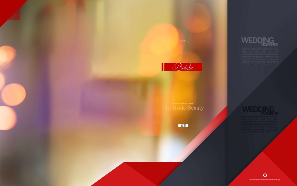 Dmax Vol-62&ndash;INDIAN WEDDING ALBUM PSD TEMPLATE
