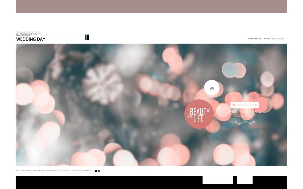 Dmax Vol-63&ndash;INDIAN WEDDING ALBUM PSD TEMPLATE