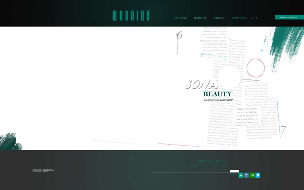 Dmax Vol-63&ndash;INDIAN WEDDING ALBUM PSD TEMPLATE