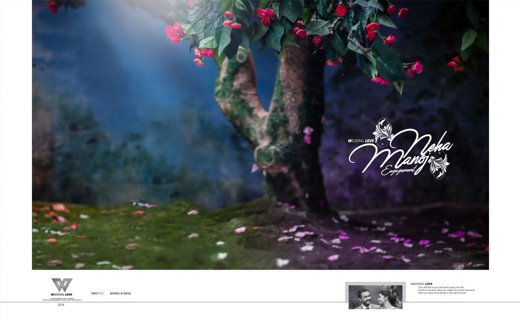 Dmax Vol-63&ndash;INDIAN WEDDING ALBUM PSD TEMPLATE