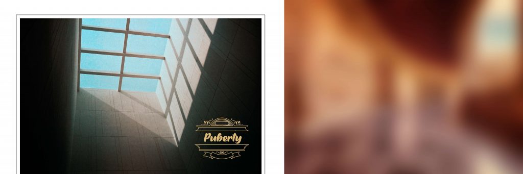 SOORIYA &ndash; VOL-18-2021-INDIAN WEDDING ALBUM PSD TEMPLATE