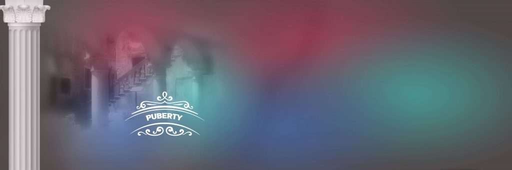 SOORIYA &ndash; VOL-18-2021-INDIAN WEDDING ALBUM PSD TEMPLATE