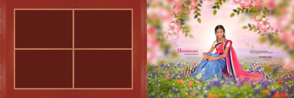 3 Full Album - Half Saree Album Pack - 12x36