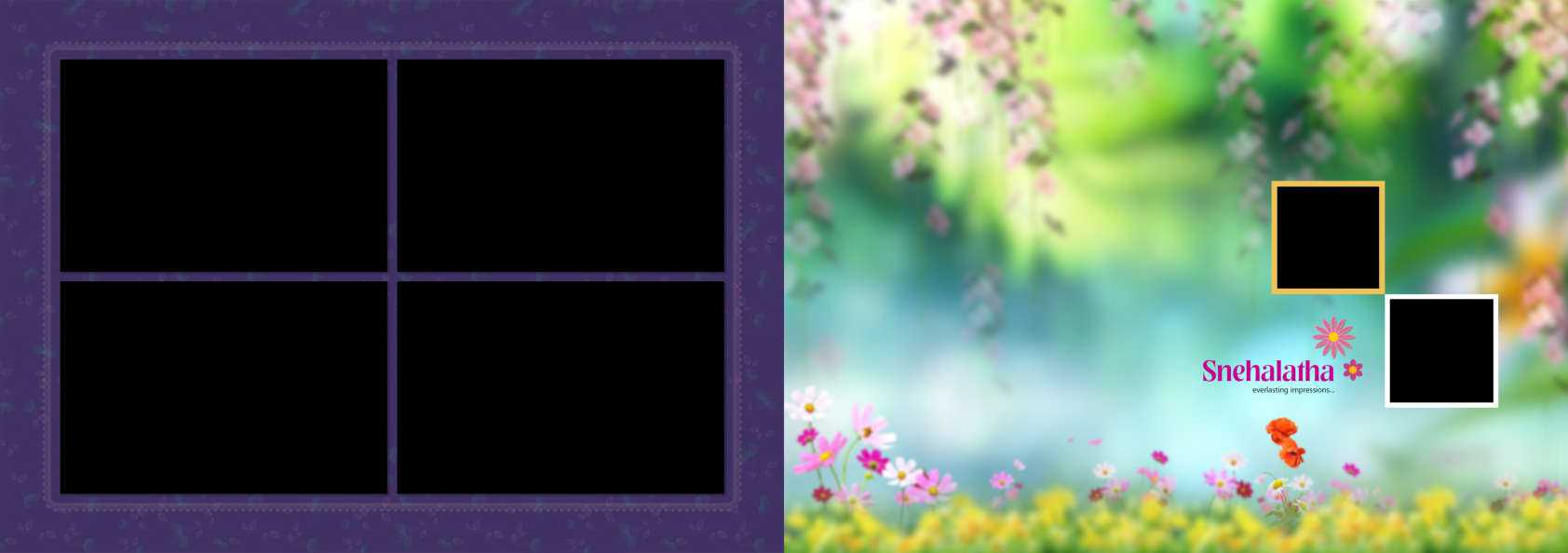 3 Full Album - Half Saree Album Pack - 12x36