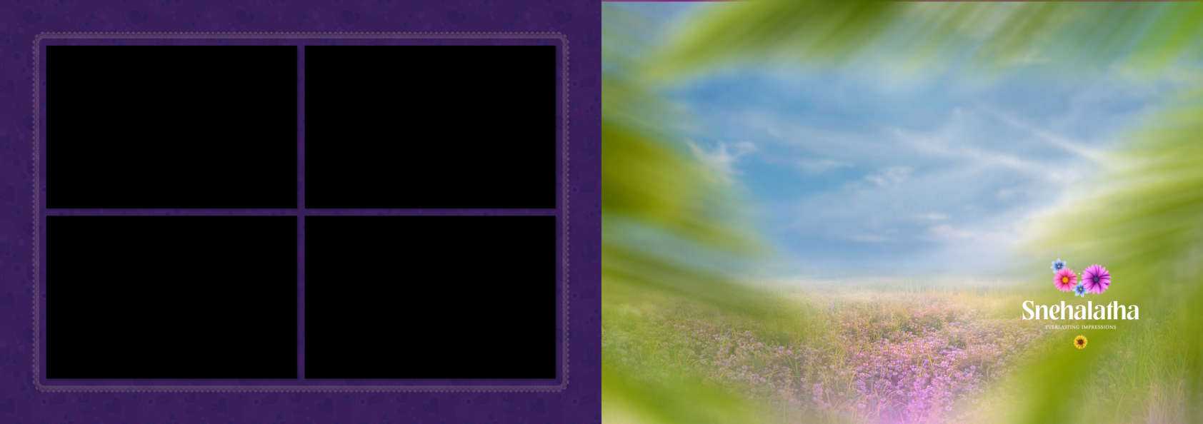 3 Full Album - Half Saree Album Pack - 12x36