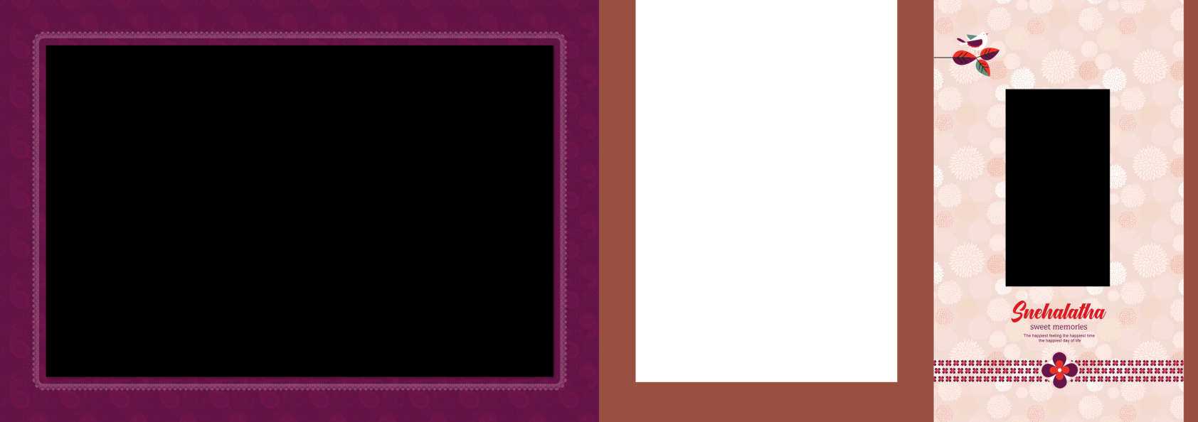 3 Full Album - Half Saree Album Pack - 12x36