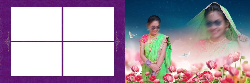 3 Full Album - Half Saree Album Pack - 12x36