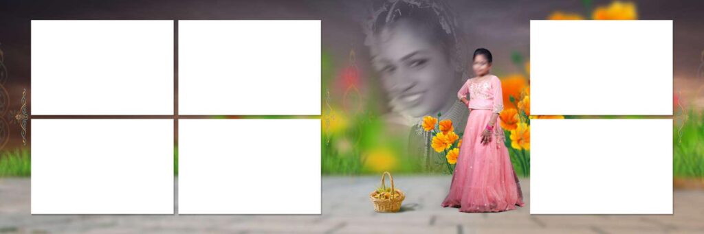 3 Full Album - Half Saree Album Pack - 12x36
