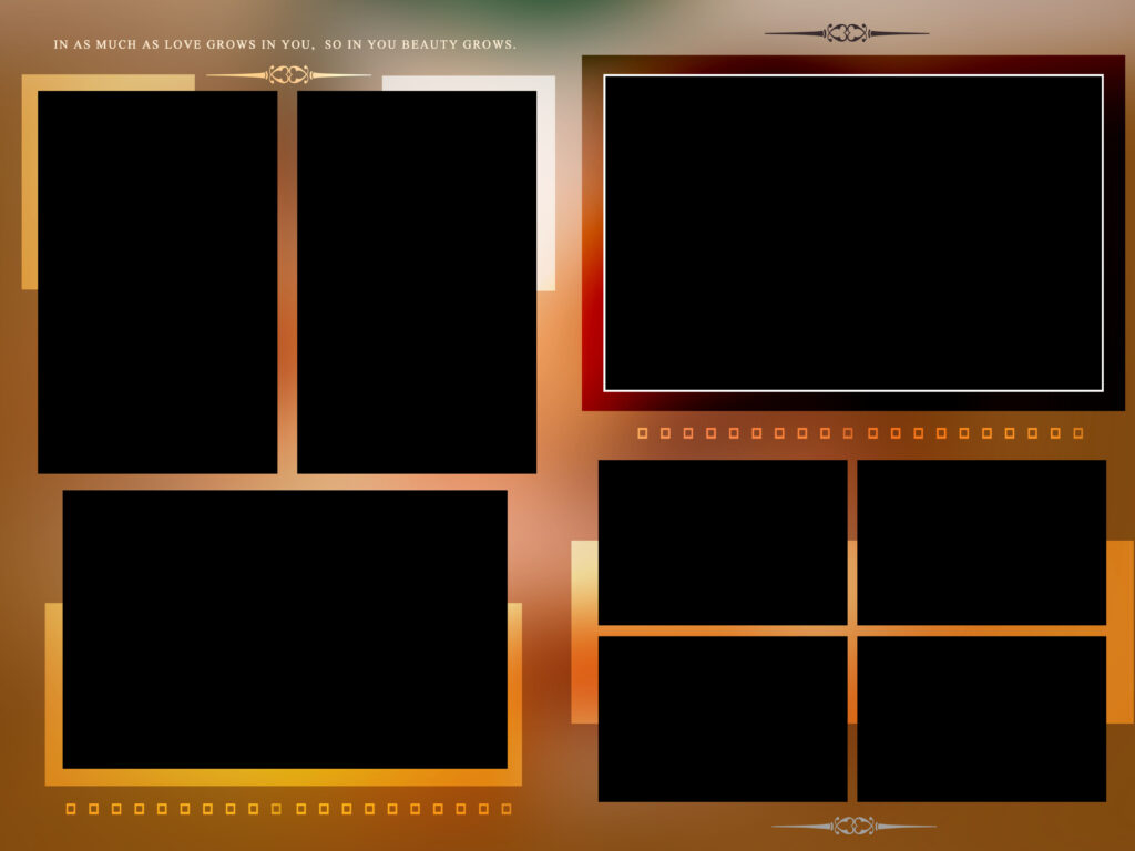 #11-Half Saree Album PSD template