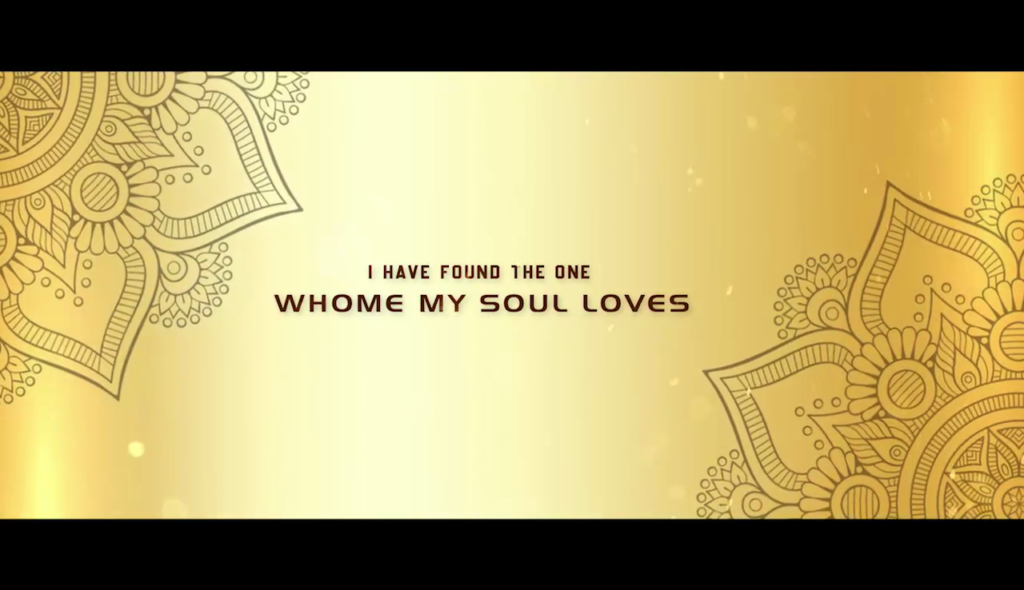 Adobe Premiere Pro - Save the Date – WhatsApp invitation - Wedding Tittle – 8