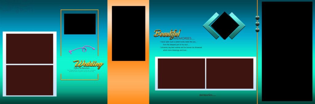 #1 - PREMIUM WEDDING ALBUM SHEETS