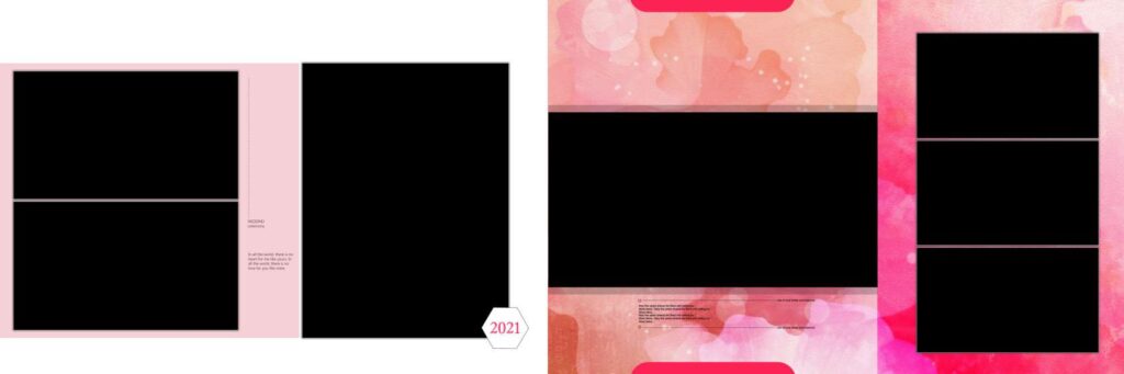 #2 - PREMIUM WEDDING ALBUM SHEETS